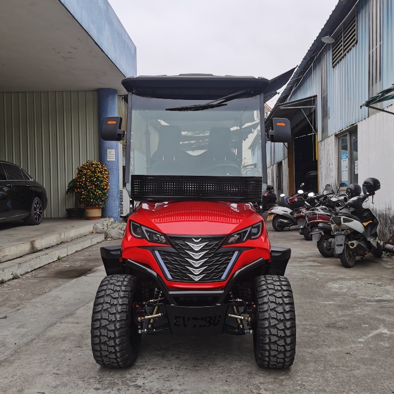Xe điện nâng điện 2+2 chỗ ngồi với pin lithium