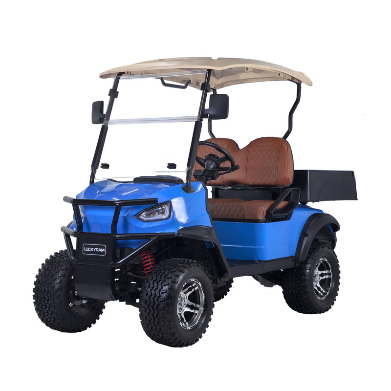 Xe chở hàng điện 2 chỗ ngồi xe với pin lithium h1