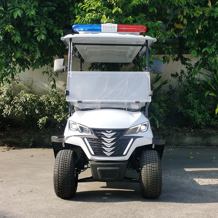 Xe an ninh điện 2 chỗ ngồi