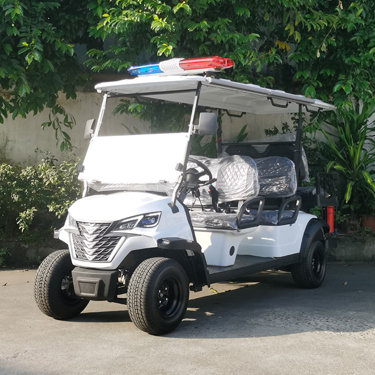 Xe an ninh điện 4 chỗ ngồi