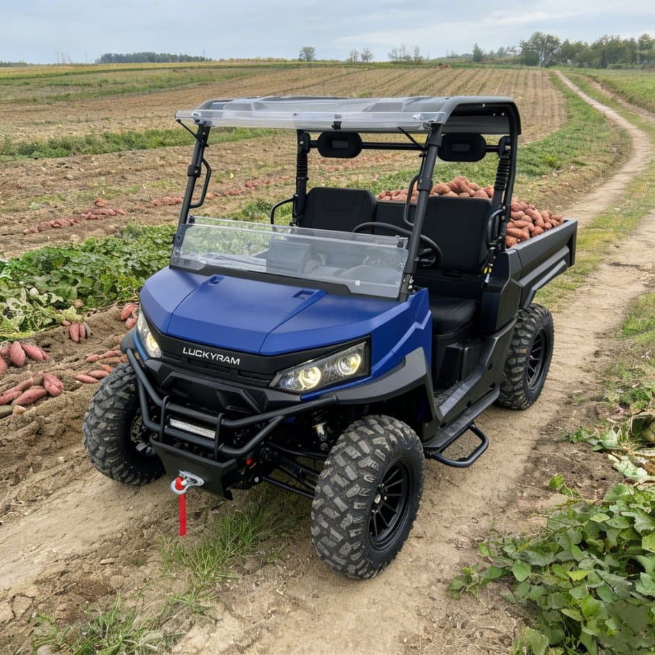 73.6V 4WD UTV 10kw Động cơ AC EPS Lái 150ah Pin