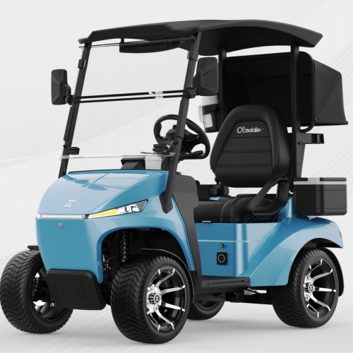 AI theo dõi xe golf điện
