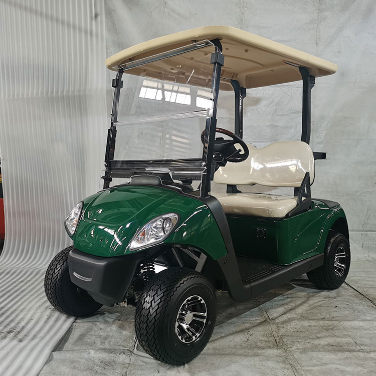 Xe golf điện 2 chỗ mạnh mẽ, trang bị pin lithium
